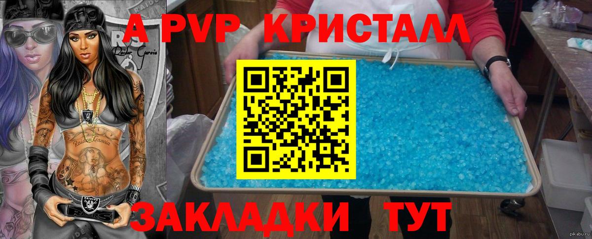 A PVP СК КРИС Балтийск