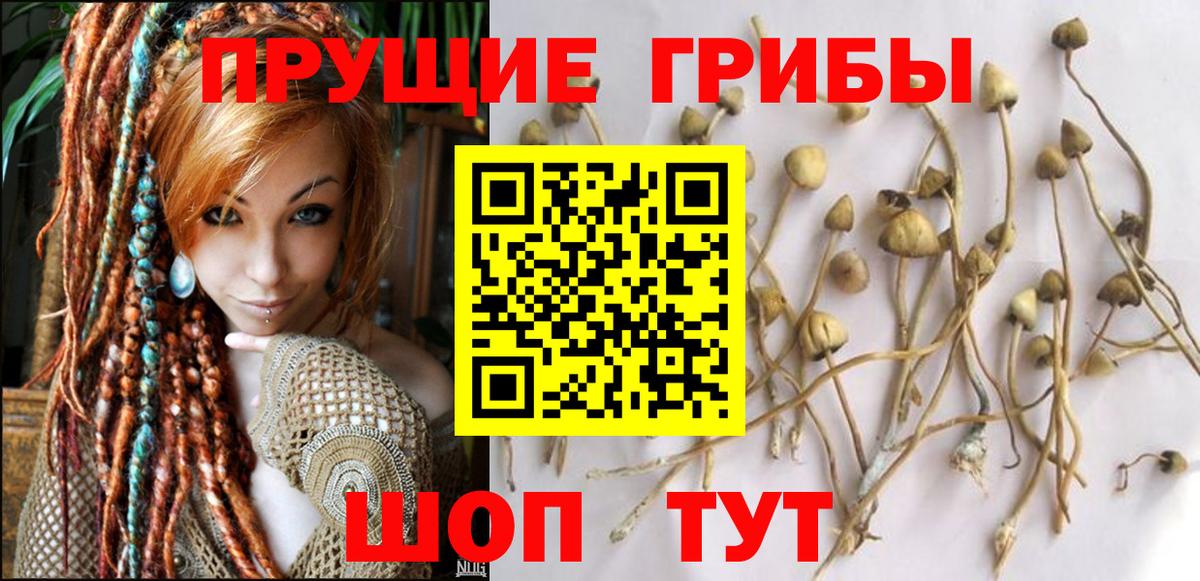 Галлюциногенные грибы MAGIC MUSHROOMS Балтийск