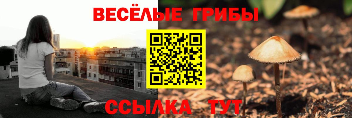 Галлюциногенные грибы мицелий  Вход с VPN  где можно купить наркотик  Балтийск 
